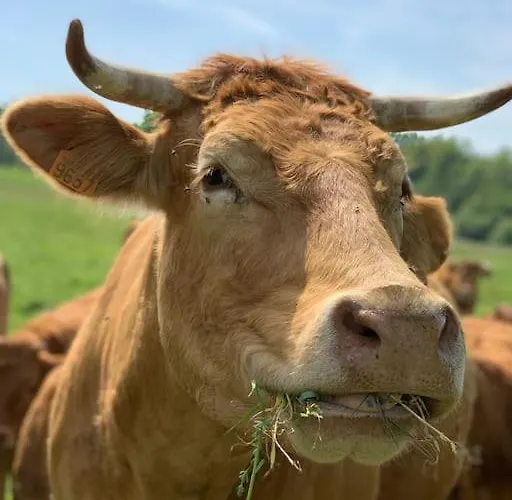 Millstone 1, Two Bed + Shared Pool